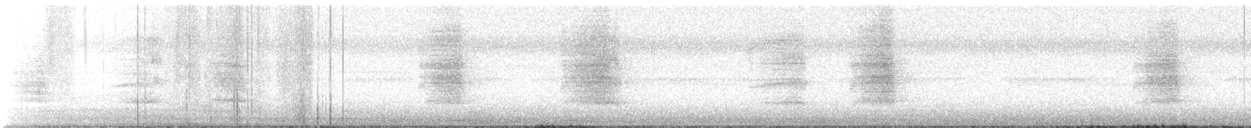 American Barn Owl - ML647597804