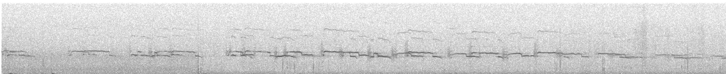 Marbled Murrelet - ML647597890