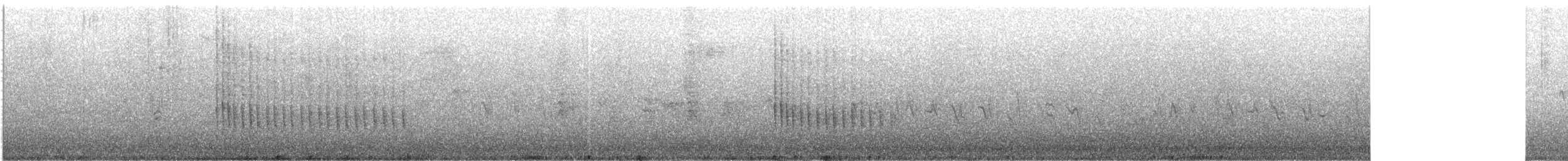 Belted Kingfisher - ML647598058