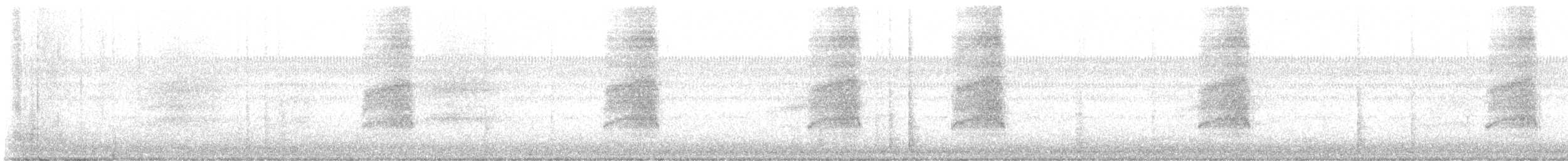 American Barn Owl - ML647598133