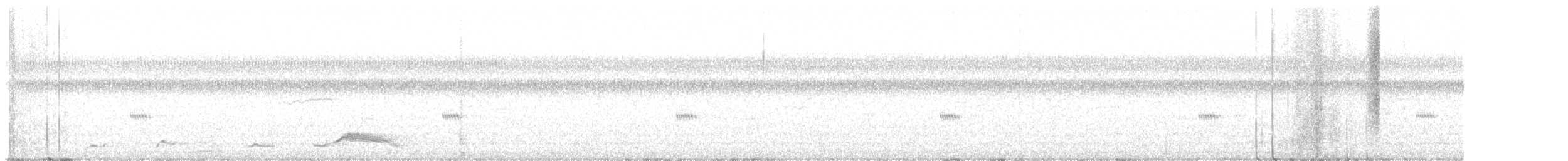 Common Pauraque - ML647598207