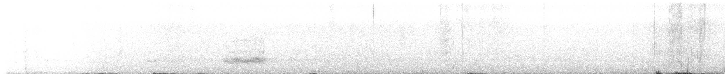 American Barn Owl - ML647598292