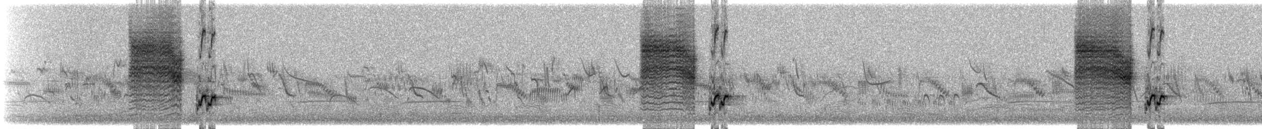 Golden-headed Cisticola - ML647598458