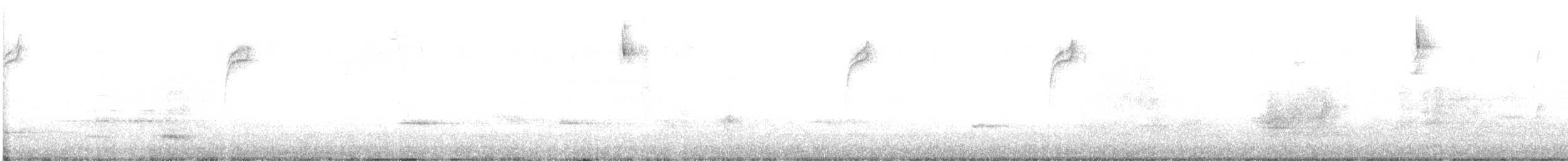 Song Sparrow (rufina Group) - ML647598496