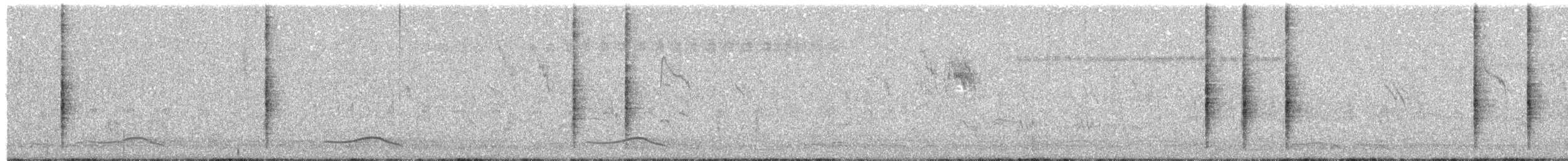 Dickschnabelspötter - ML647600439