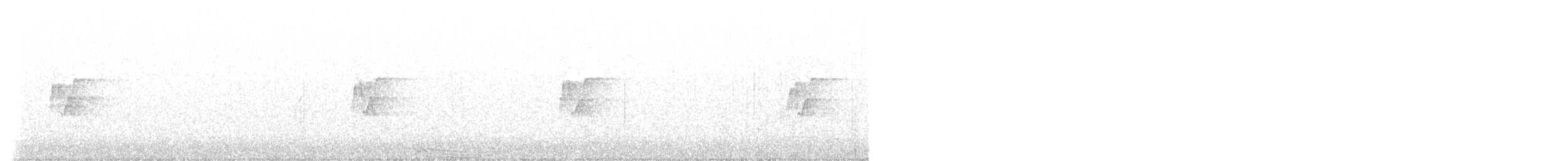 budníček dvoupruhý - ML647600557