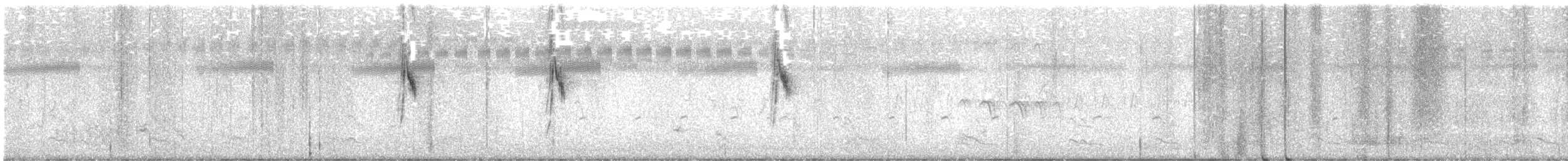 Stelze, unbestimmt - ML647600968