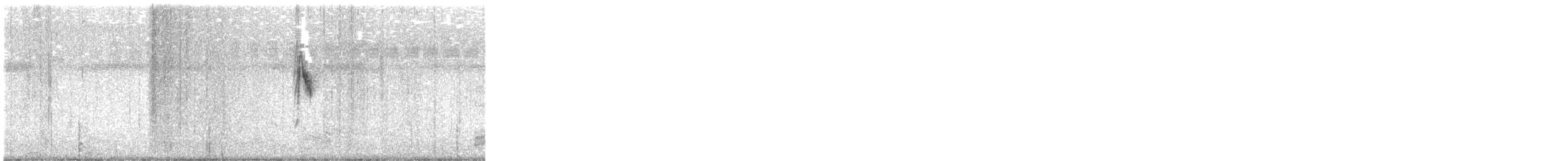 Stelze, unbestimmt - ML647600969