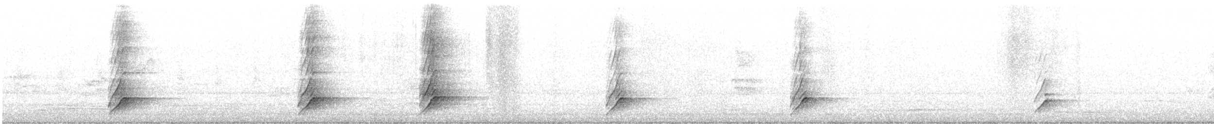 Blauohr-Honigfresser - ML647601006