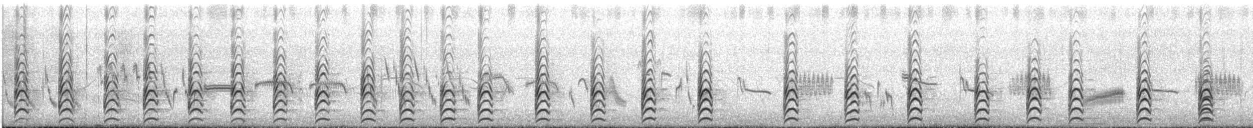 Échasse d'Australie - ML647601196