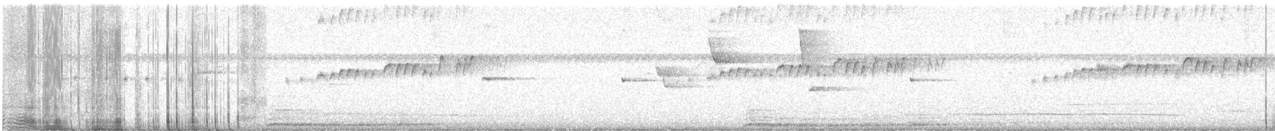 Tyran mélancolique - ML647601200