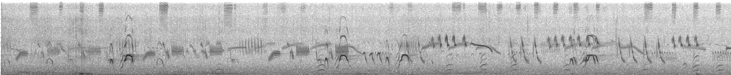 Huîtrier de Finsch - ML647601201