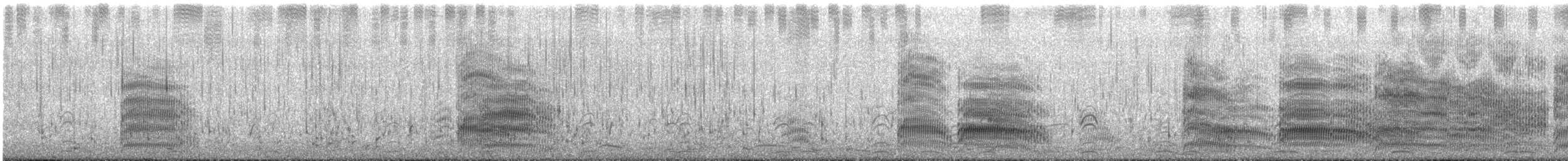 Mouette de Buller - ML647601207