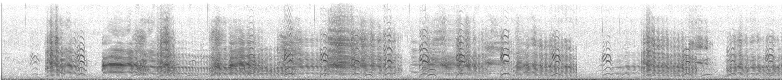 Mouette de Buller - ML647601212