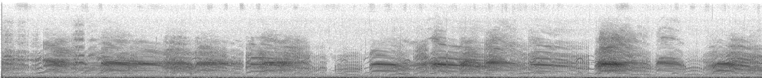 Mouette de Buller - ML647601213