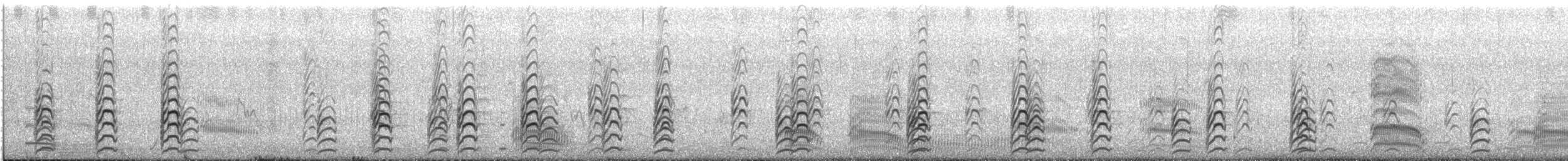 Échasse d'Australie - ML647601219