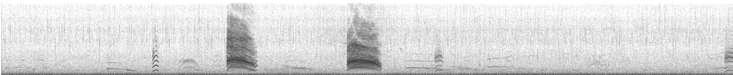 Mouette de Buller - ML647601224