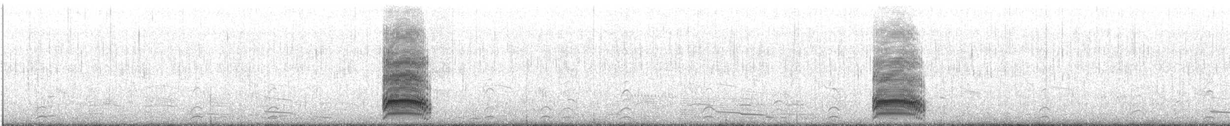 Mouette de Buller - ML647601248