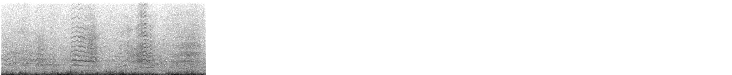 Cacatoès corella - ML647601362