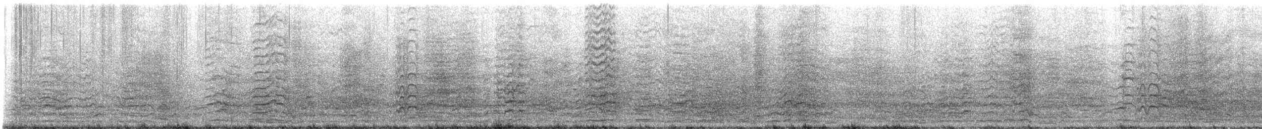 Cacatoès corella - ML647601363