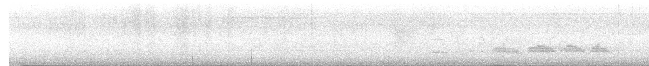 Yellow-bellied Elaenia - ML647601953