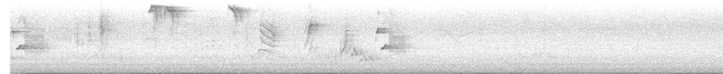 Southern House Wren - ML647602008