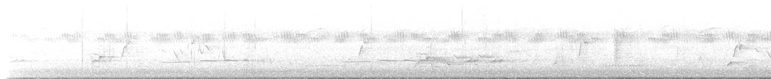 Dideric Cuckoo - ML647602312