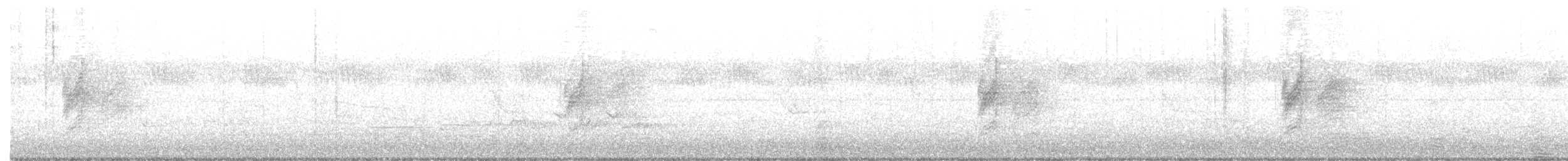 African Paradise-Flycatcher - ML647602357