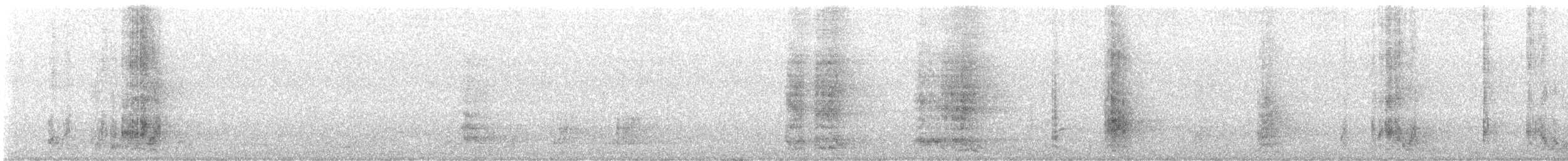 Yellow Wattlebird - ML647602541