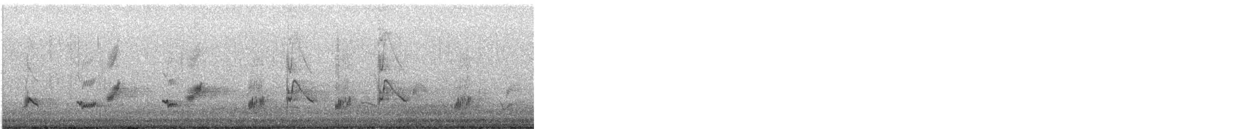 California Thrasher - ML647602913