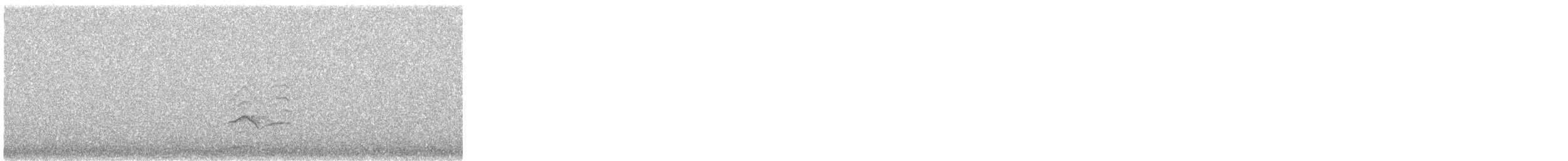 小辮鴴 - ML647603582