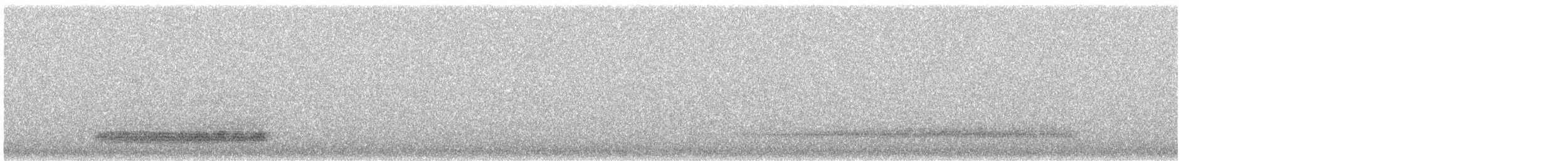 Western Barn Owl - ML647603730