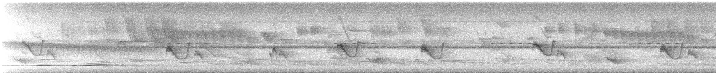 Greenish Elaenia - ML647603940