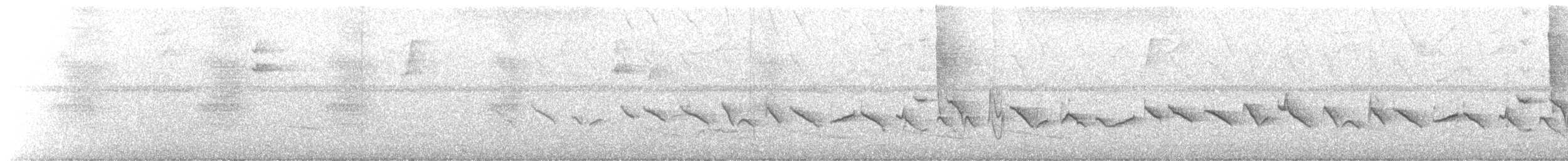 Chestnut-bellied Seed-Finch - ML647604126