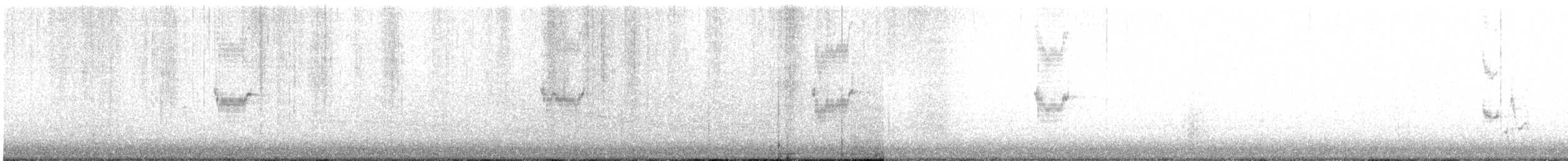 Chinese Gray Shrike - ML647604672