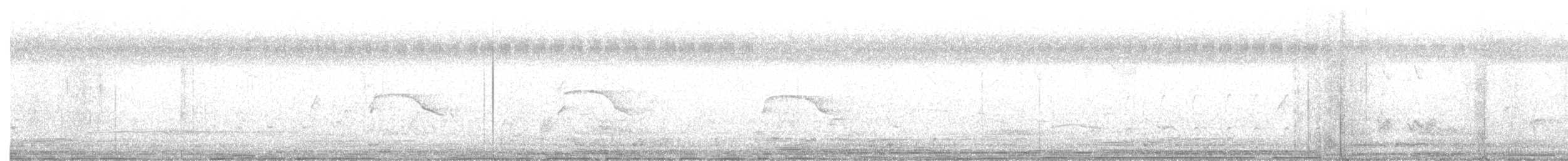 Western Marsh Harrier - ML647604687