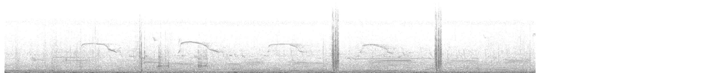 Western Marsh Harrier - ML647604688