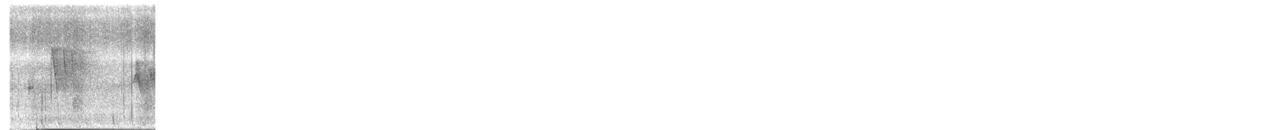 Gray-headed Canary-Flycatcher - ML647605139