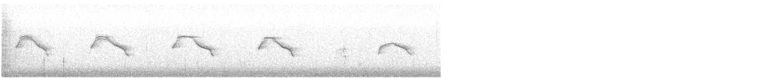 Western Marsh Harrier - ML647605379