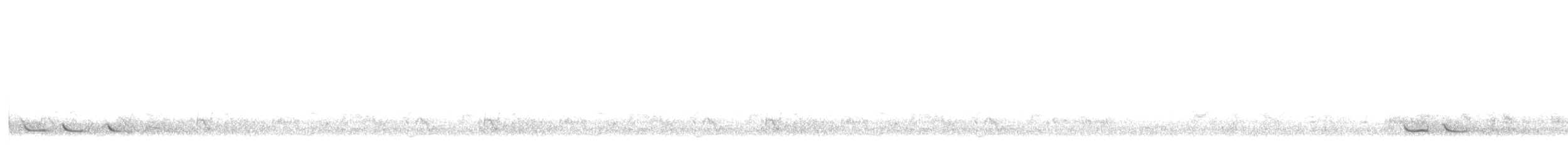 Common Greenshank - ML647605764