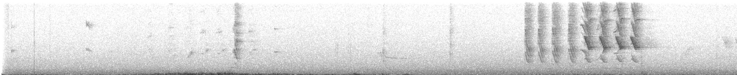 sørgetrupial - ML647606220