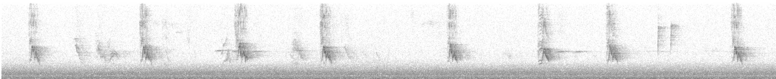 gråspurv - ML647606415