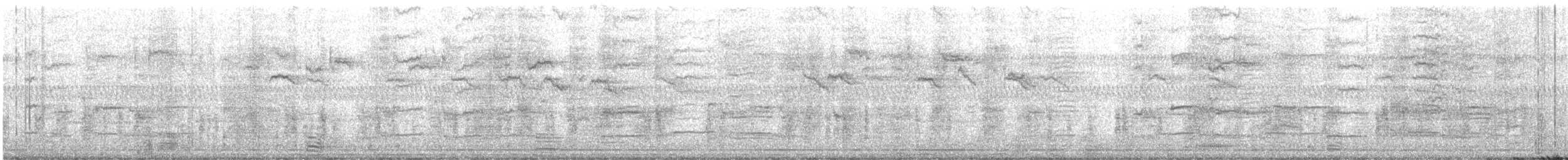 glanstrupial - ML647606424