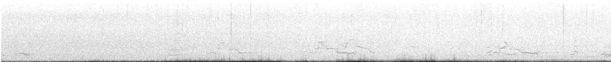 Calyptorhynchus/Zanda sp. - ML647606551