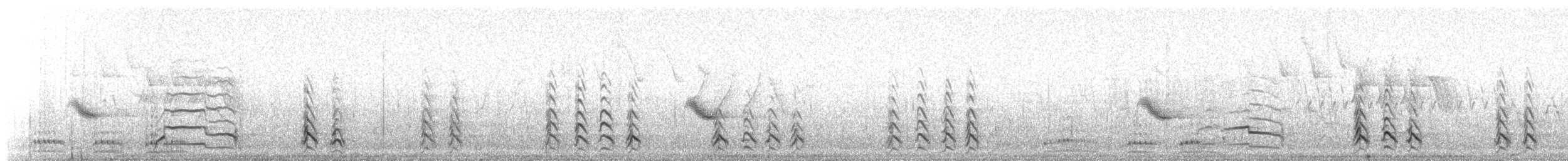 kortnebbmåke - ML647607582