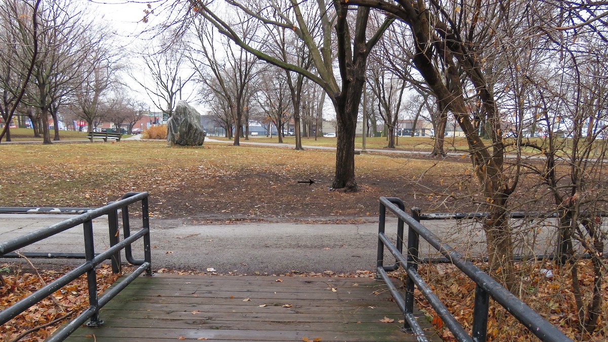 יונקו כהה-עין - ML647608030