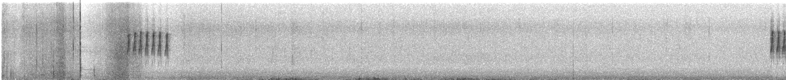 Black-capped Chickadee - ML647608647