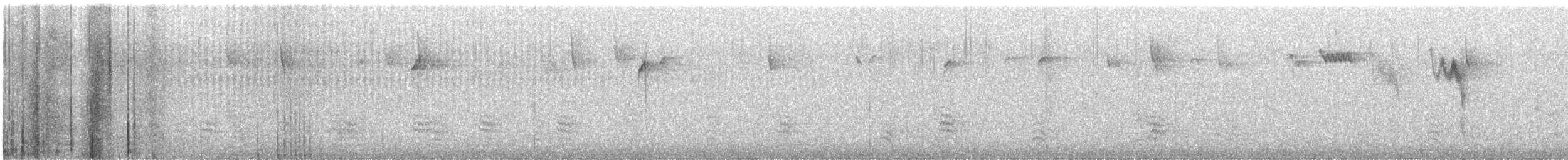 White-breasted Nuthatch - ML647608662