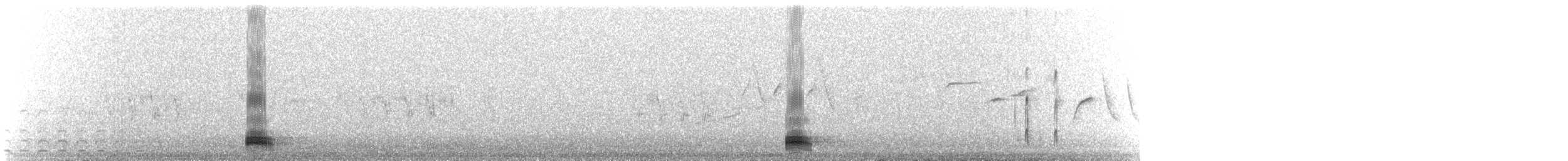 Greater Scaup - ML647609134