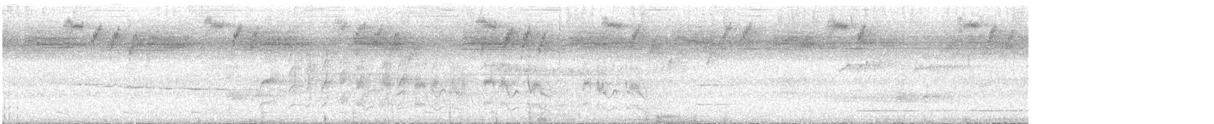 new world flycatcher sp. - ML647609283